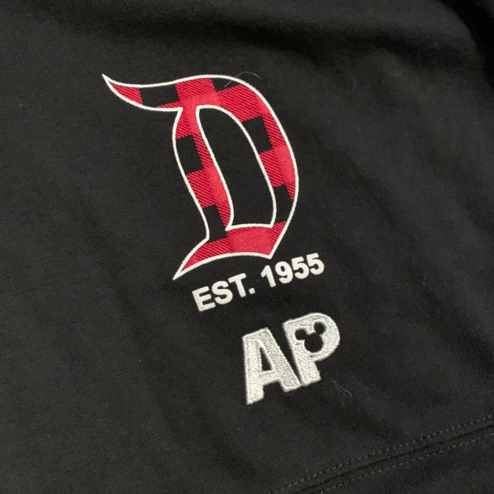 Disneyland spirit jersey xl